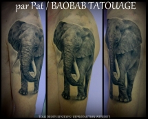 Pat10_tous_droits_réservés_Baobab_Tatouage