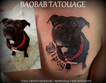 Pat49_tous_droits_réservés_Baobab_Tatouage
